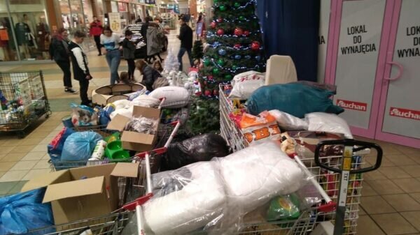 Mikołajkowa paka dla zwierzaka