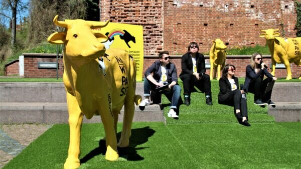 kulturalne lato olsztynie