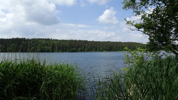 znalazł ciało mężczyzny