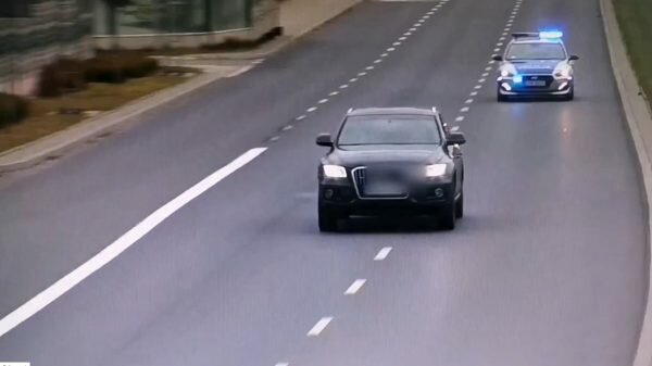 przewoził imigrantów